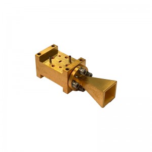 RM-DPHA75110-20