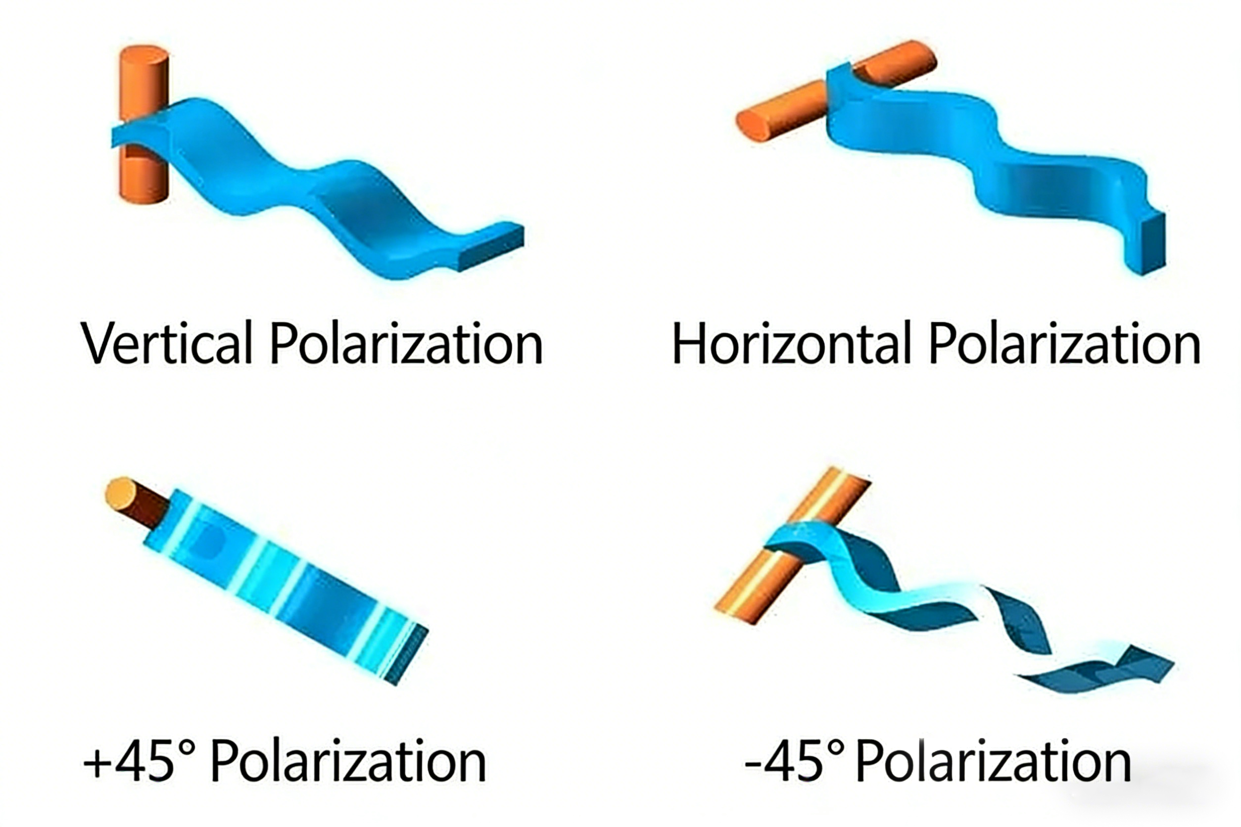 polarization